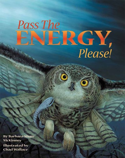 Pass the Energy, Please! Activity