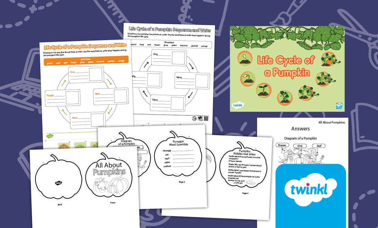 Life cycle of a pumpkin Lesson for K-2nd Grade