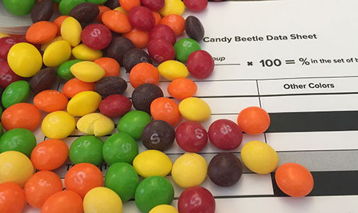 Sampling and Estimation With Bountiful ‘Beetles’
