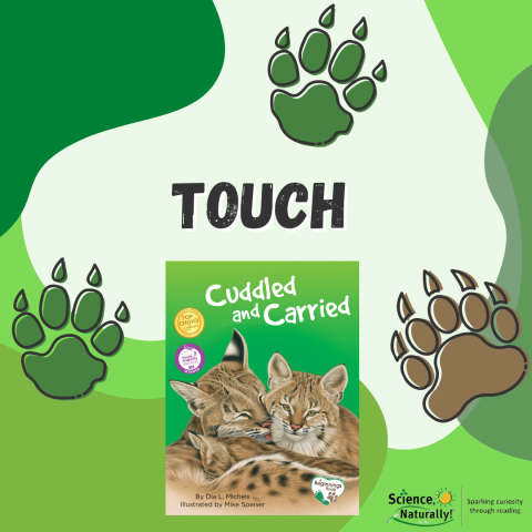 Touch from "Cuddled and Carried"