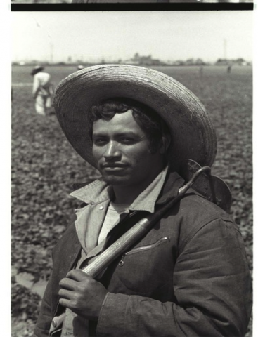 The Price of Labor: Contextualizing and Humanizing the Braceros