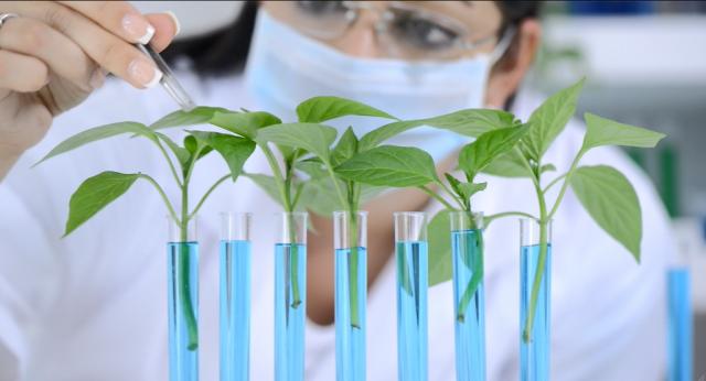 Introducing Green Chemistry: The Science of Solutions