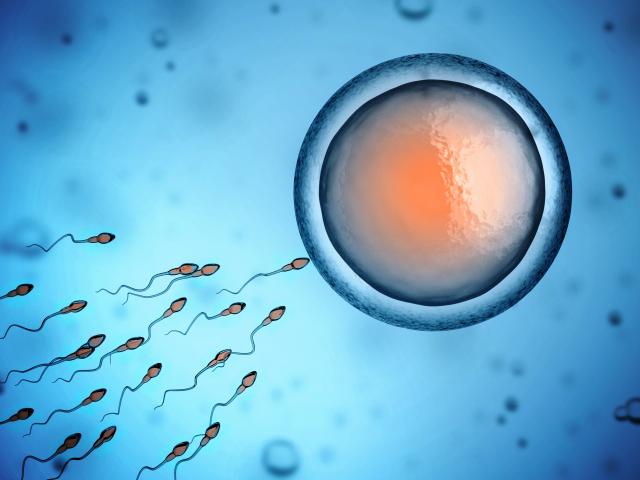 Sexual Reproduction and Genetic Variation - Legends of Learning