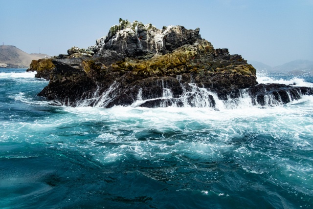 Coastal Peru: The Amazing Biodiversity of a Coastal Ecosystem