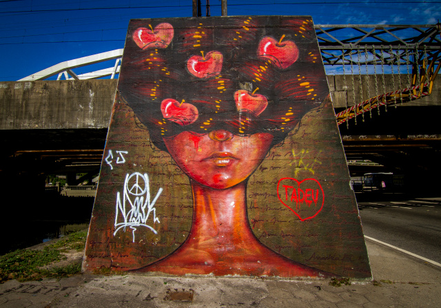 LESSON TWO: HOW DOES ART EXPRESS IDENTITY?