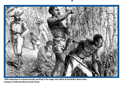 How Did Sugar Feed Slavery?