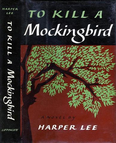To Kill a Mockingbird Marginalized Characters