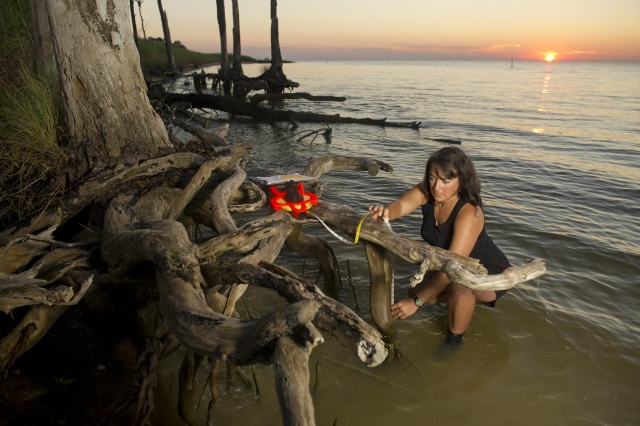 Meet the Scientist: Judy Haner