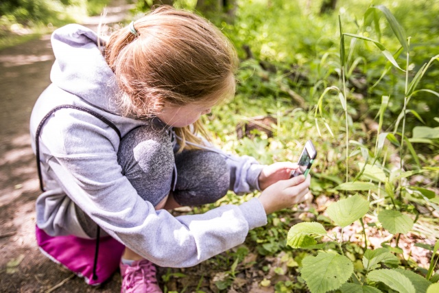 Caring for your Garden