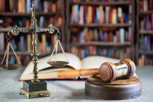 Role of the courts, Part 2