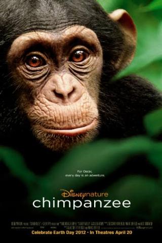 DisneyNature Chimpanzee Educator Guide
