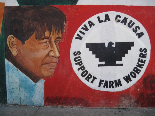 Evidence-Based Claims CCSS Series (7th Grade) - Cesar Chavez