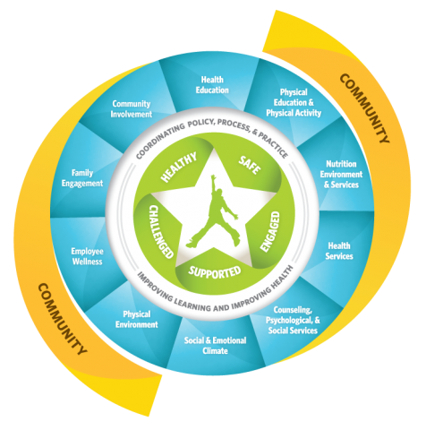 Whole School Efforts to Meet the Needs of Every Student